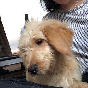 Meet your Posher, Celia